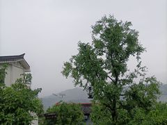 -观清澜疗愈民宿(龙泉山风景区店)