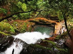 -中国大熊猫保护研究中心雅安碧峰峡基地