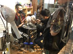 -Goku PET SHOP宠物视觉生活馆(双井店)