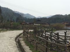 -黑河国家森林公园