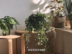 -双季花艺园艺市场(浦东店)