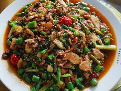 -功夫兔