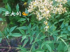 -无锡动物园·太湖欢乐园