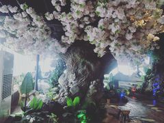 -汤乐汇•足道•SPA生活馆