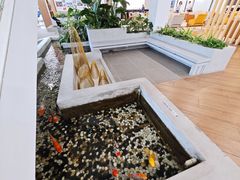 -上海宝宁宝马4S店