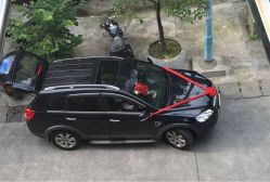 -蚂蚁婚车