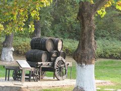 -北京张裕爱斐堡酒庄