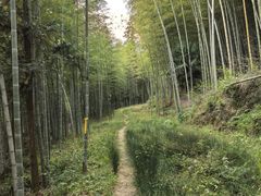-塔川景区