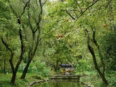 -上海共青森林公园