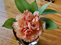 -济南喜来登酒店