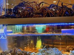 -南海渔村(珠江新城店)