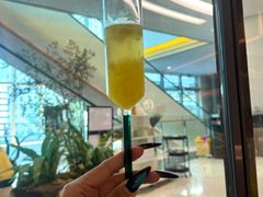 -谭厨中山传家菜.乳鸽.脆鲩鱼(华强北中航城店)