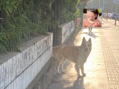 -豆舞咖啡(民乐路店)