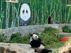 -南昌动物园