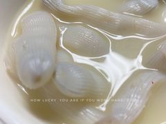 -渔人金景(湛江·渔人码头店)