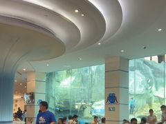 -帝企鹅自助餐厅•儿童岛•真企鹅(长隆企鹅酒店)