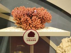 -中国湿地博物馆