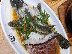 清蒸石斑鱼-金家港海鲜大排档(中山路店)