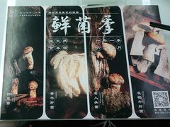 -名善山珍·野生菌汤锅(文殊院店)