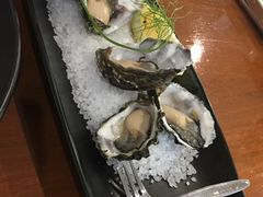 -12 Rocks Beach Bar Cafe