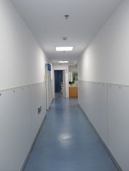 -温州伯思立医院