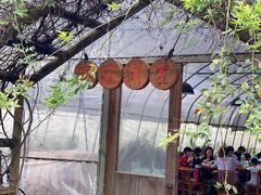 -前小桔亲子创意农场·草莓采摘·露营烧烤