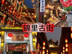 -成都大熊猫繁育研究基地