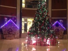 星河丽思卡尔顿酒店-深圳星河丽思卡尔顿酒店