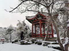 -近春园遗址