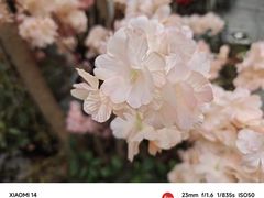 -王捌小院(红花坡店)