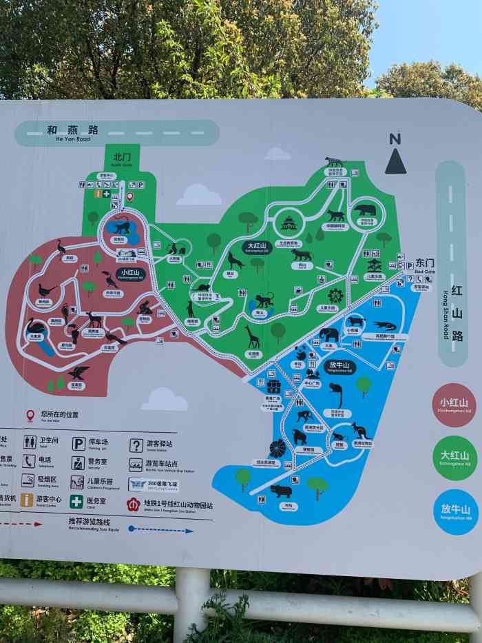 红山森林动物园游览图图片