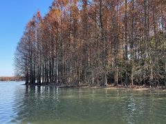 -上海海湾国家森林公园