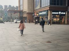 -茶颜悦色(花样汇店)