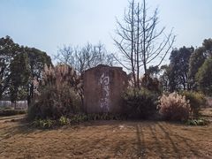 -白鹭湾湿地公园