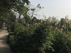 -大渡口区义渡公园