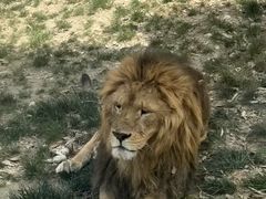 -栾川竹海野生动物园