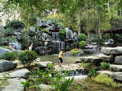 -东莞植物园
