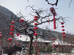 -华清宫景区