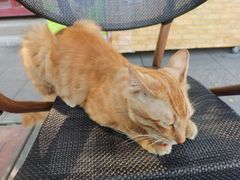 -西关竹园(荔枝湾店)