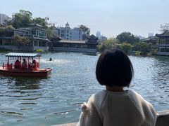 -荔湾湖公园