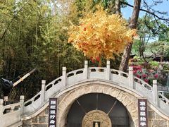 -红螺寺
