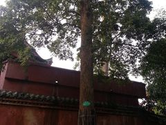 -峨眉山报国寺