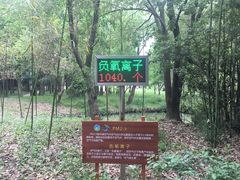 -同里国家湿地公园