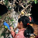 通海俄式烧烤 串大味才美