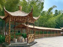 -宜兴龙背山森林公园