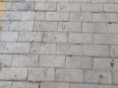 -解家河南菜(金水路店)