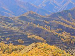 -灵山