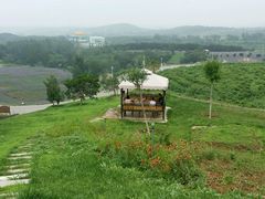 android_upload_pic-密云玫瑰情园