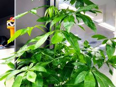 -新东方斯芬克艺术留学作品集培训(郑州校区)