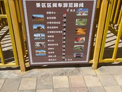 -金塔沙漠胡杨林景区